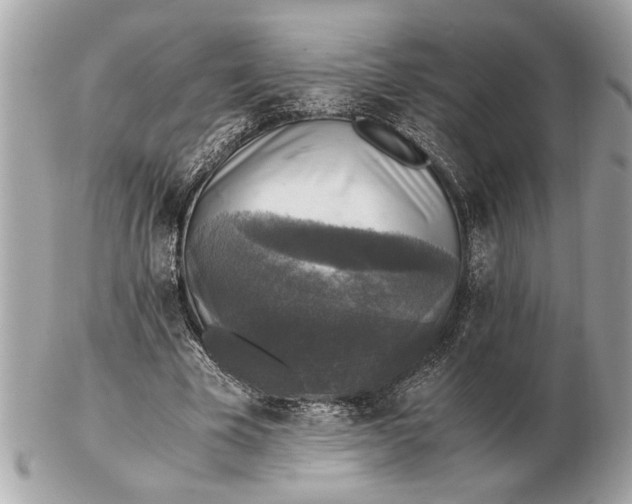 X0000102520585200808291759