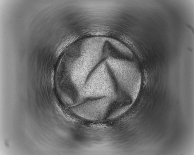 X0000102520586200808291759