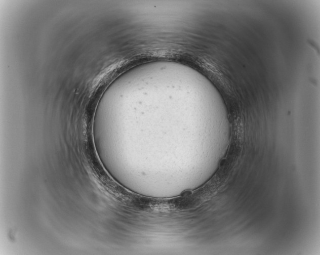 X0000102520587200808291759