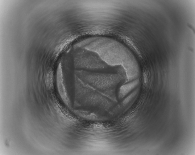 X0000102520588200808291759