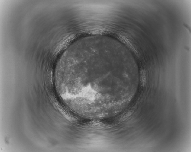 X0000102520589200808291759