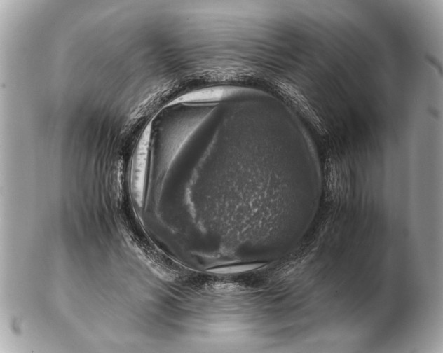 X0000102520590200808291759