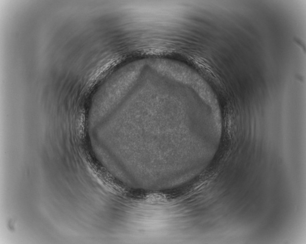 X0000102520591200808291759