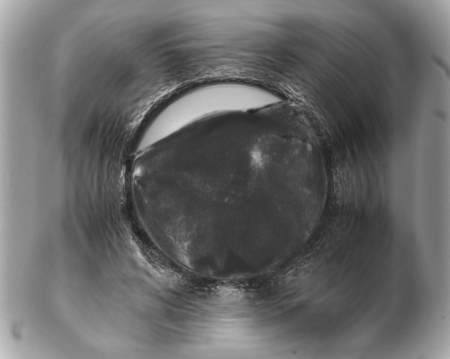 X0000102520592200808291758