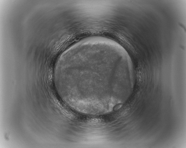 X0000102520593200808291758