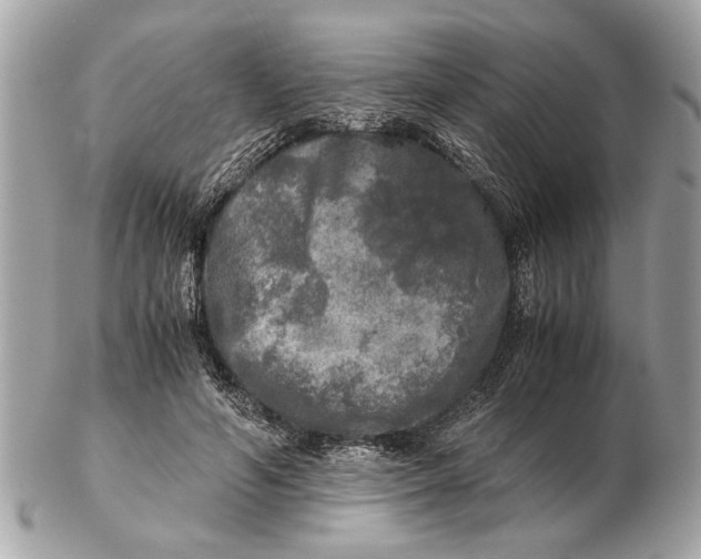 X0000102520594200808291758