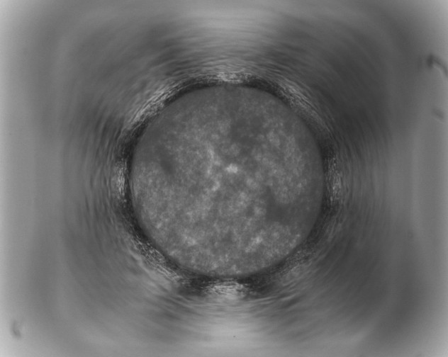 X0000102520595200808291758