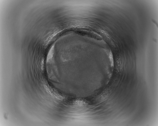 X0000102520596200808291758