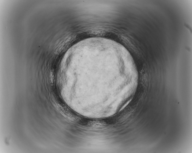 X0000102520597200808291758