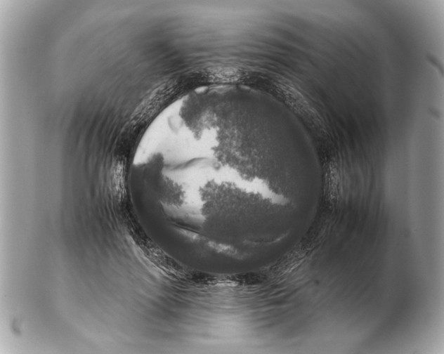 X0000102520598200808291758