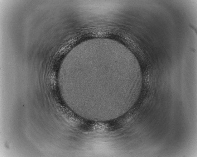 X0000102520599200808291758