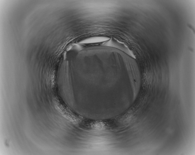 X0000102520600200808291758