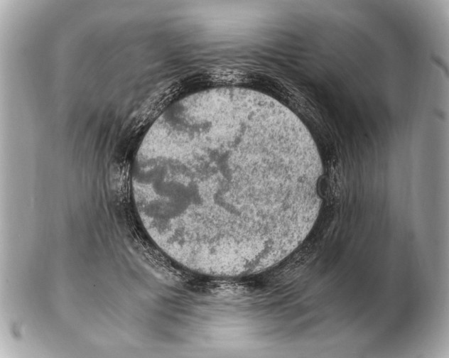 X0000102520601200808291758