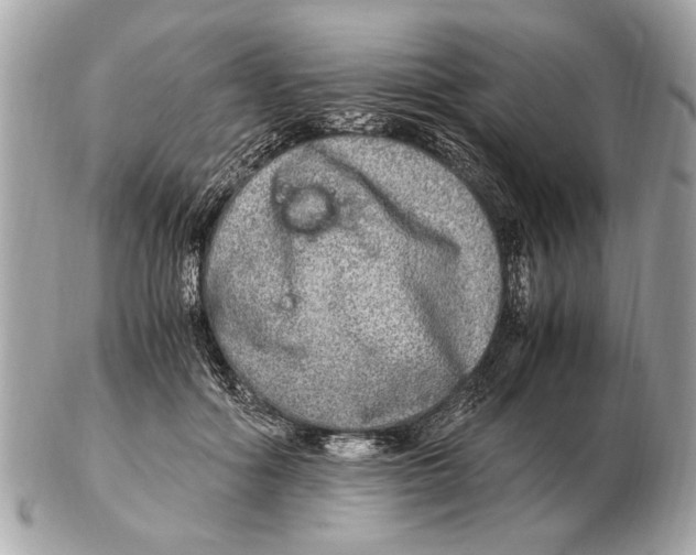 X0000102520602200808291758