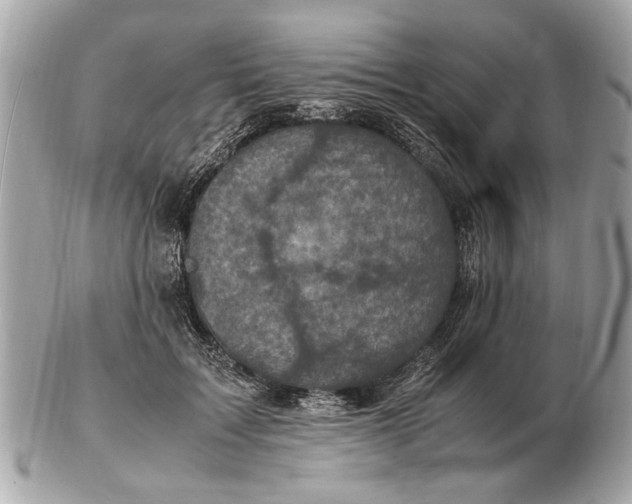 X0000102520603200808291758