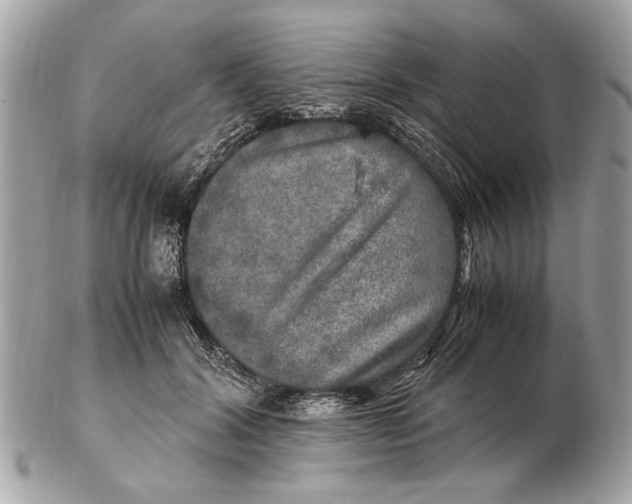 X0000102520604200808291758