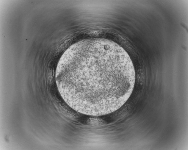 X0000102520605200808291758