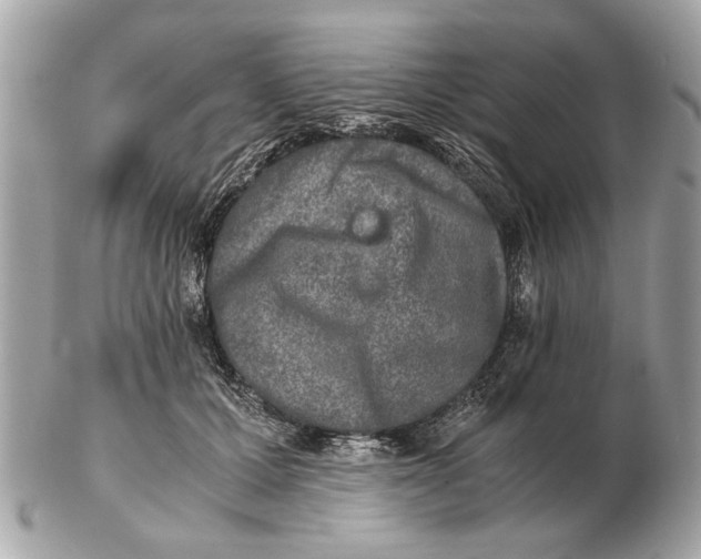 X0000102520607200808291758