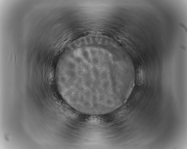 X0000102520608200808291758