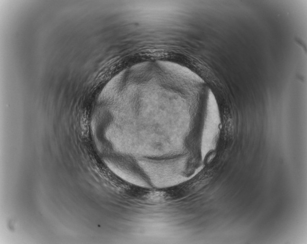 X0000102520609200808291758