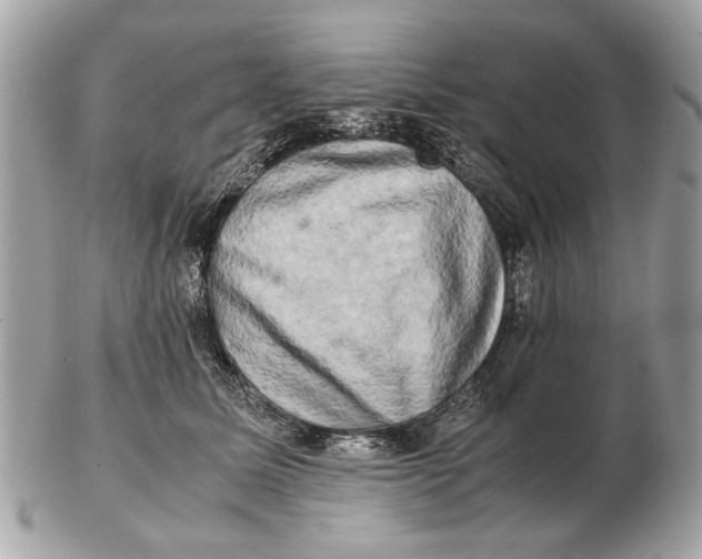 X0000102520611200808291758