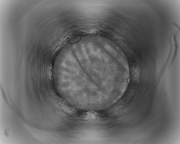 X0000102520612200808291758