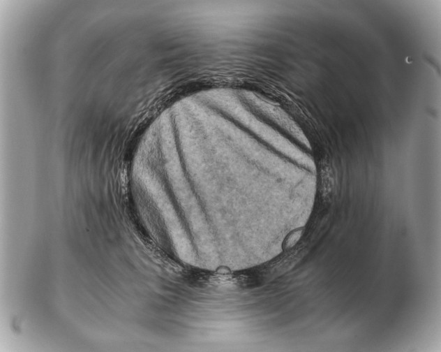 X0000102520613200808291758