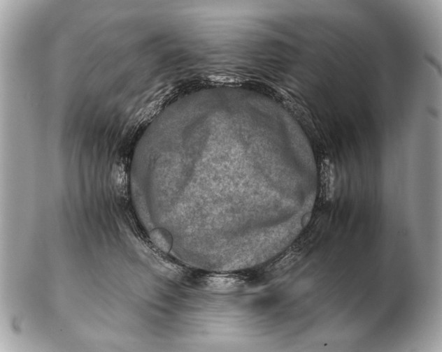 X0000102520614200808291758