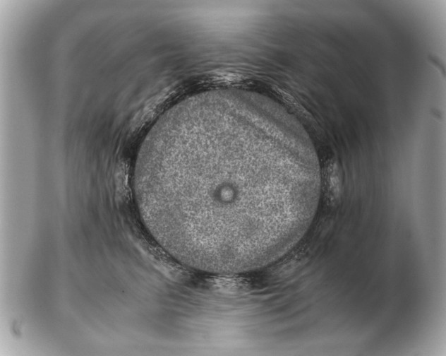 X0000102520615200808291758