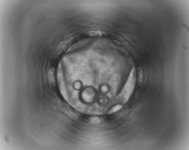 X0000102520616200808291758