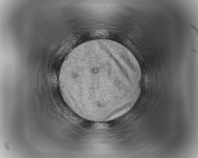 X0000102520617200808291758