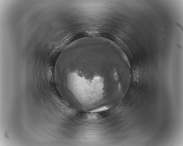 X0000102520618200808291758