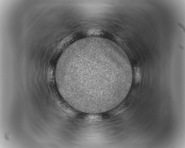 X0000102520619200808291758