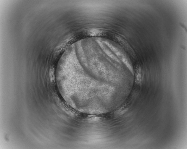 X0000102520620200808291758