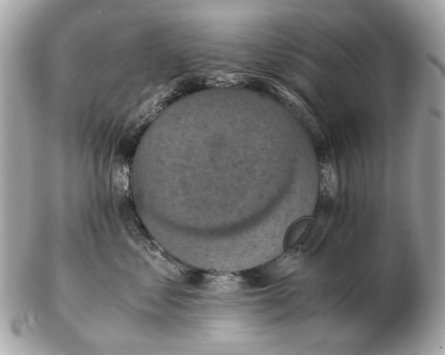 X0000102520621200808291758