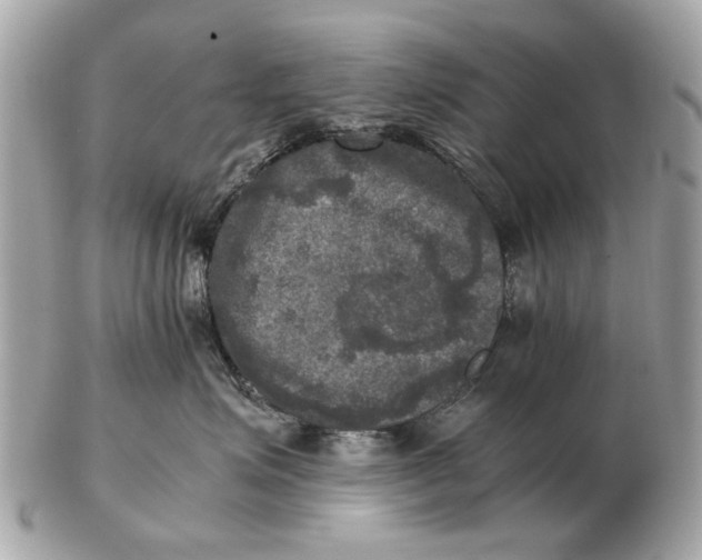 X0000102520623200808291758