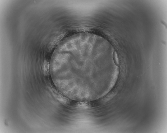 X0000102520624200808291758