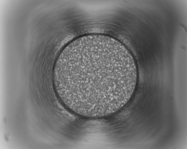 X0000102520625200808291757