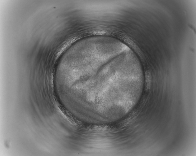 X0000102520626200808291757