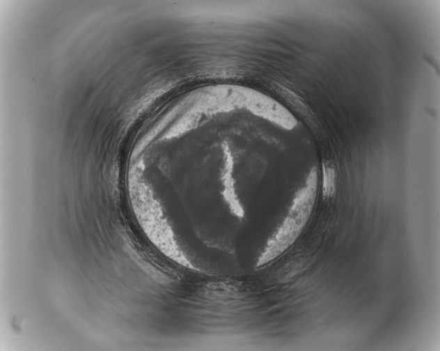 X0000102520627200808291757