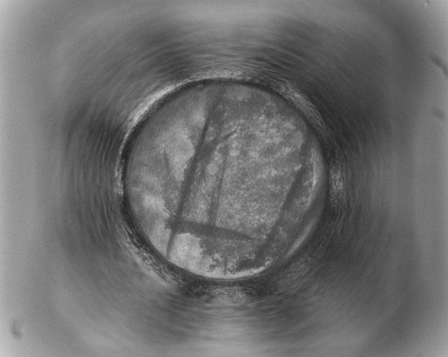 X0000102520628200808291757