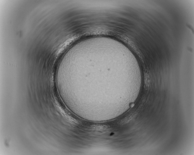 X0000102520629200808291757