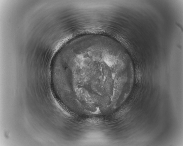 X0000102520630200808291757