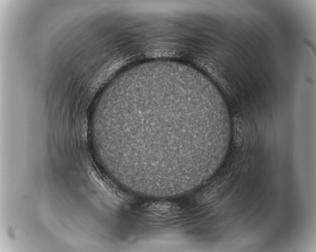 X0000102520631200808291757