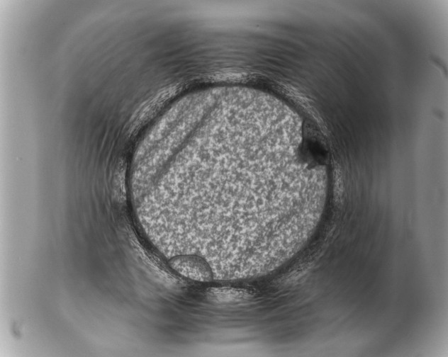 X0000102520633200808291758