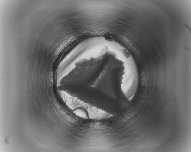 X0000102520634200808291758