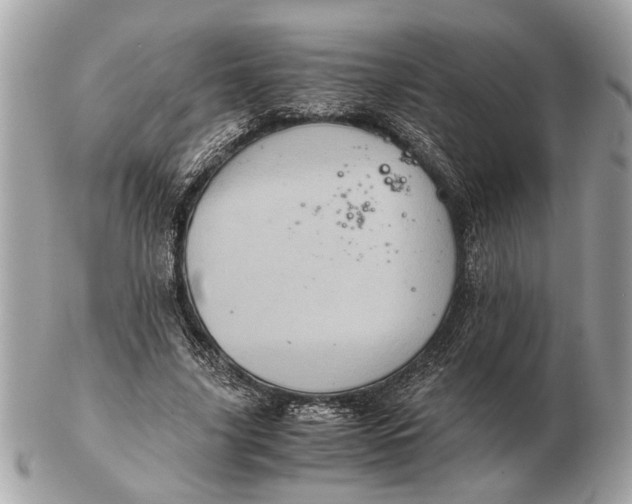 X0000102520635200808291758