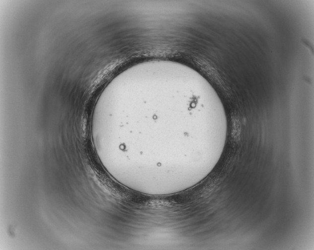 X0000102520636200808291758