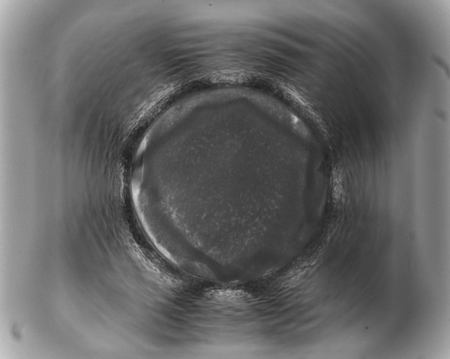 X0000102520637200808291758