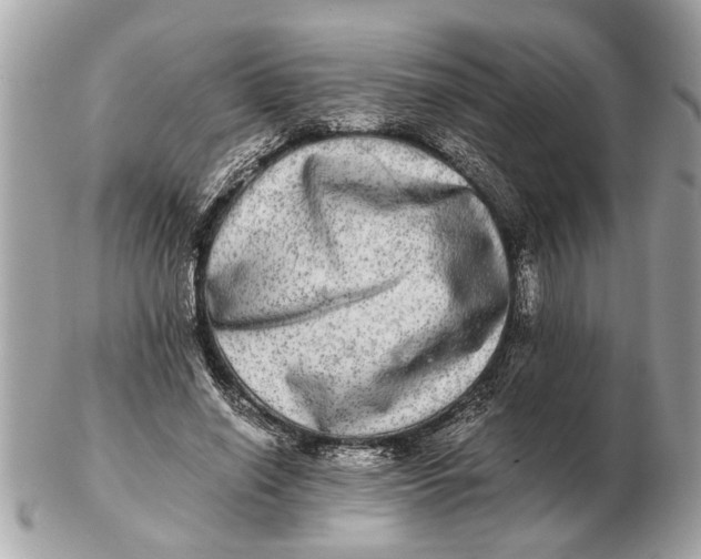 X0000102520638200808291758